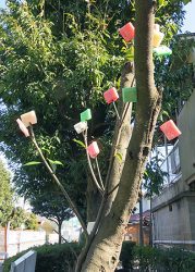 平成30年どんと焼き　1/13